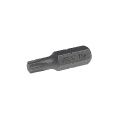 Маленькое фото товара - Бита TORX Т30х30мм 5/16 JTC-1233030. Вариант №1
