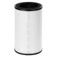 Маленькое фото товара - Фильтр Electrolux FAP-2075 ANTI DUST. Вариант №1