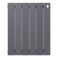 Маленькое фото товара - Радиатор PianoForte 500 Silver Satin - 6 секц. Royal Thermo RTPNSS50006. Вариант №2