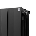 Маленькое фото товара - Радиатор PianoForte 300 /Noir Sable - 10 секц. Royal Thermo RTPNS30010. Вариант №5