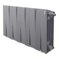 Маленькое фото товара - Радиатор PianoForte 300 Silver Satin VDR80 - 10 секц. Royal Thermo RTPSSVDR8030010. Вариант №1