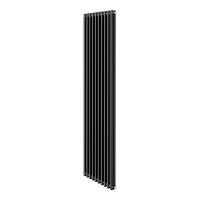 Фото товара - Дизайн-радиатор Insignia C2180 - 10 секц. RAL9005m Royal Thermo In-C2180.10.9005m