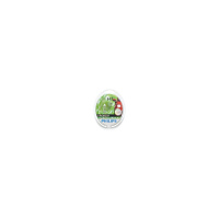 Фото товара - Автолампа H7 55 PX26d LongLife EcoVision 2шт 12V PHILIPS 12972LLECOS2