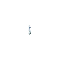 Фото товара - Автолампа W1.2W W2*4.6d 24V PHILIPS 13516CP