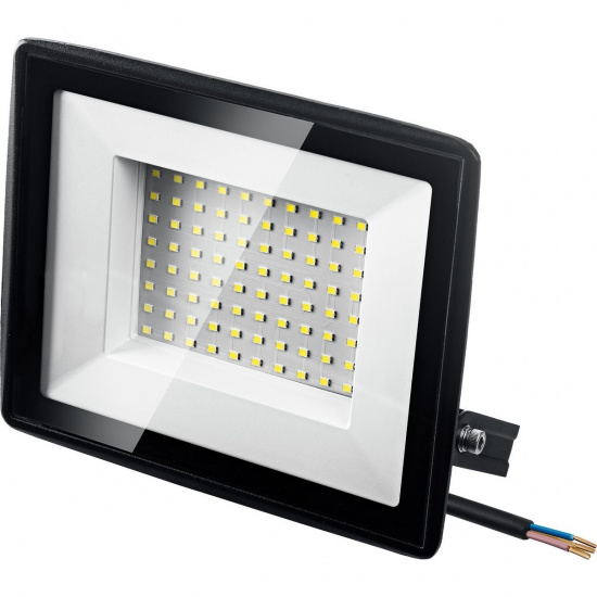 Большое фото товара - Светодиодный прожектор IP 65 6500K 100Вт LED-MAX STAYER 57131-100_z03, 57131-100_z03. Вариант №1