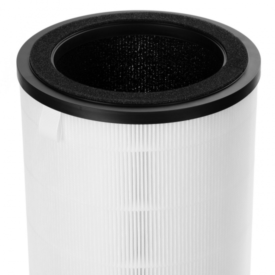 Большое фото товара - Фильтр Electrolux FAP-2075 ANTI DUST, FAP-2075 ANTI DUST. Вариант №3